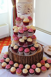 wedding cupcakes with birch tree topper